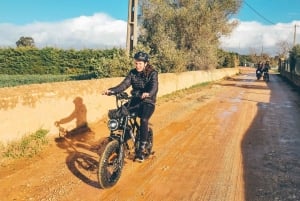 Carvoeiro & Ferragudo: Privat Fat Bike-tur