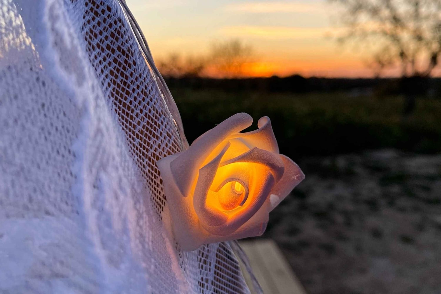 Carvoeiro, Portimão, Lagos: Piquenique romântico na vinha no Algarve