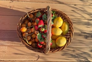 Carvoeiro, Portimão, Lagos: Piquenique romântico na vinha no Algarve