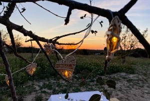 Carvoeiro, Portimão, Lagos: Piquenique romântico na vinha no Algarve