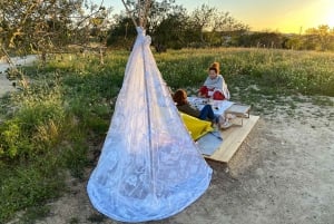 Carvoeiro, Portimão, Lagos: Piquenique romântico na vinha no Algarve