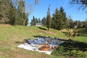 Carvoeiro, Portimão, Lagos: Piquenique romântico na vinha no Algarve