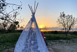Carvoeiro, Portimão, Lagos: Piquenique romântico na vinha no Algarve