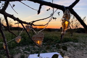 Carvoeiro, Portimão, Lagos: Piquenique romântico na vinha no Algarve