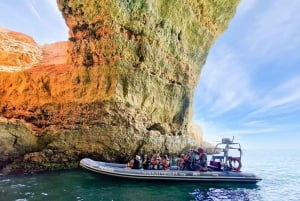 Cavernas e golfinhos - viagem combinada