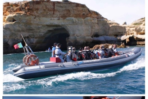 Cavernas e golfinhos - viagem combinada