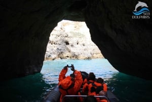 Cavernas e golfinhos - viagem combinada