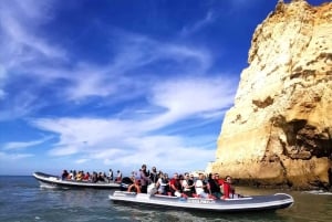 Cavernas e golfinhos - viagem combinada