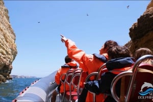 Cavernas e golfinhos - viagem combinada