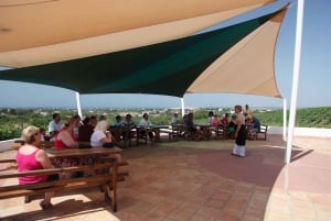 ワインワールド体験