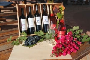 ワインワールド体験