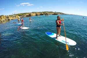 断崖と洞窟のスタンドアップパドルアドベンチャー