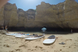 断崖と洞窟のスタンドアップパドルアドベンチャー