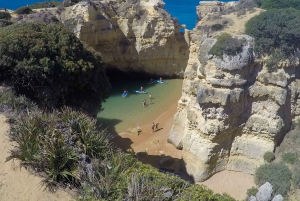 断崖と洞窟のスタンドアップパドルアドベンチャー