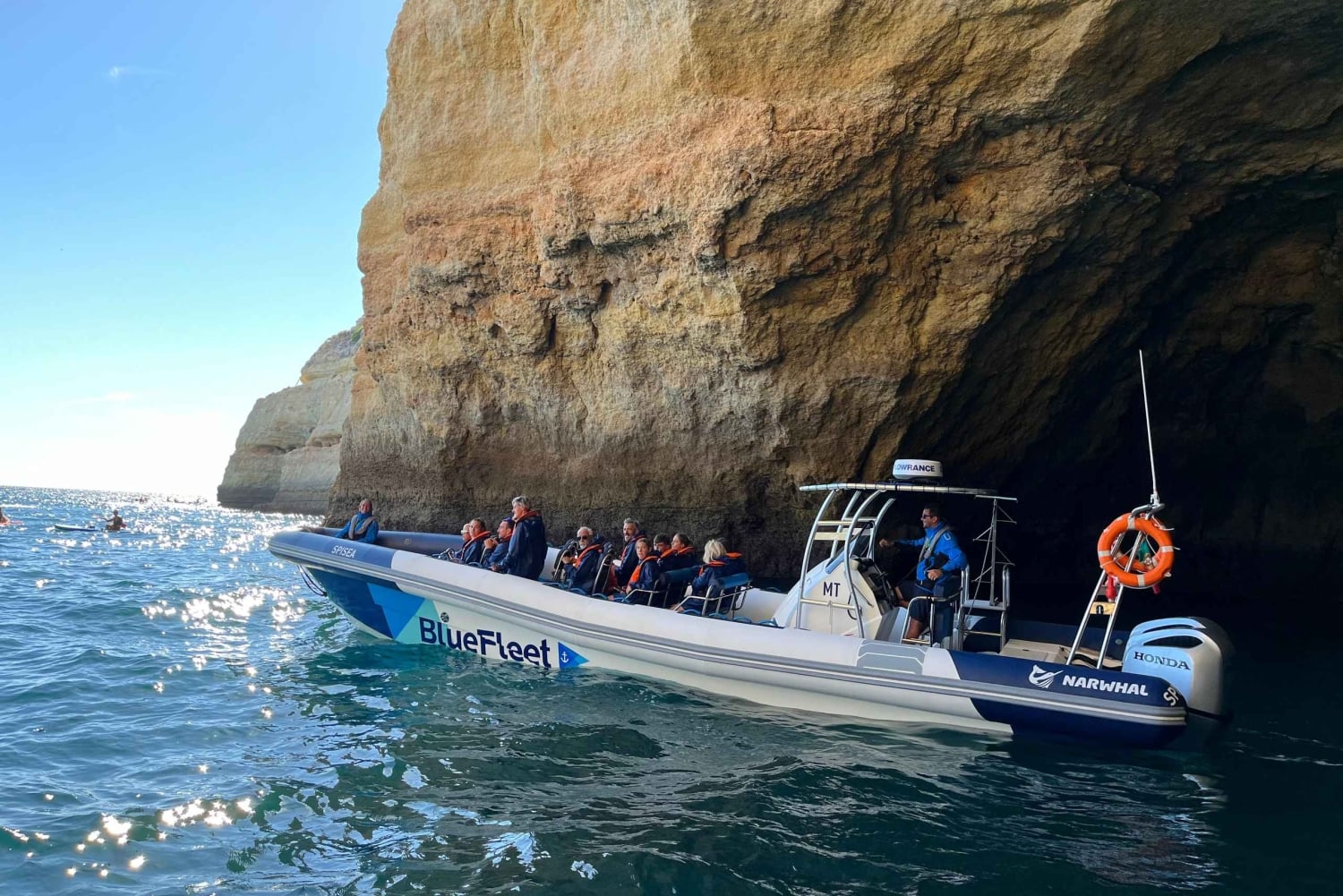 Combo: Benagil & Dolphins Boat Tour w/ Marine Biologists