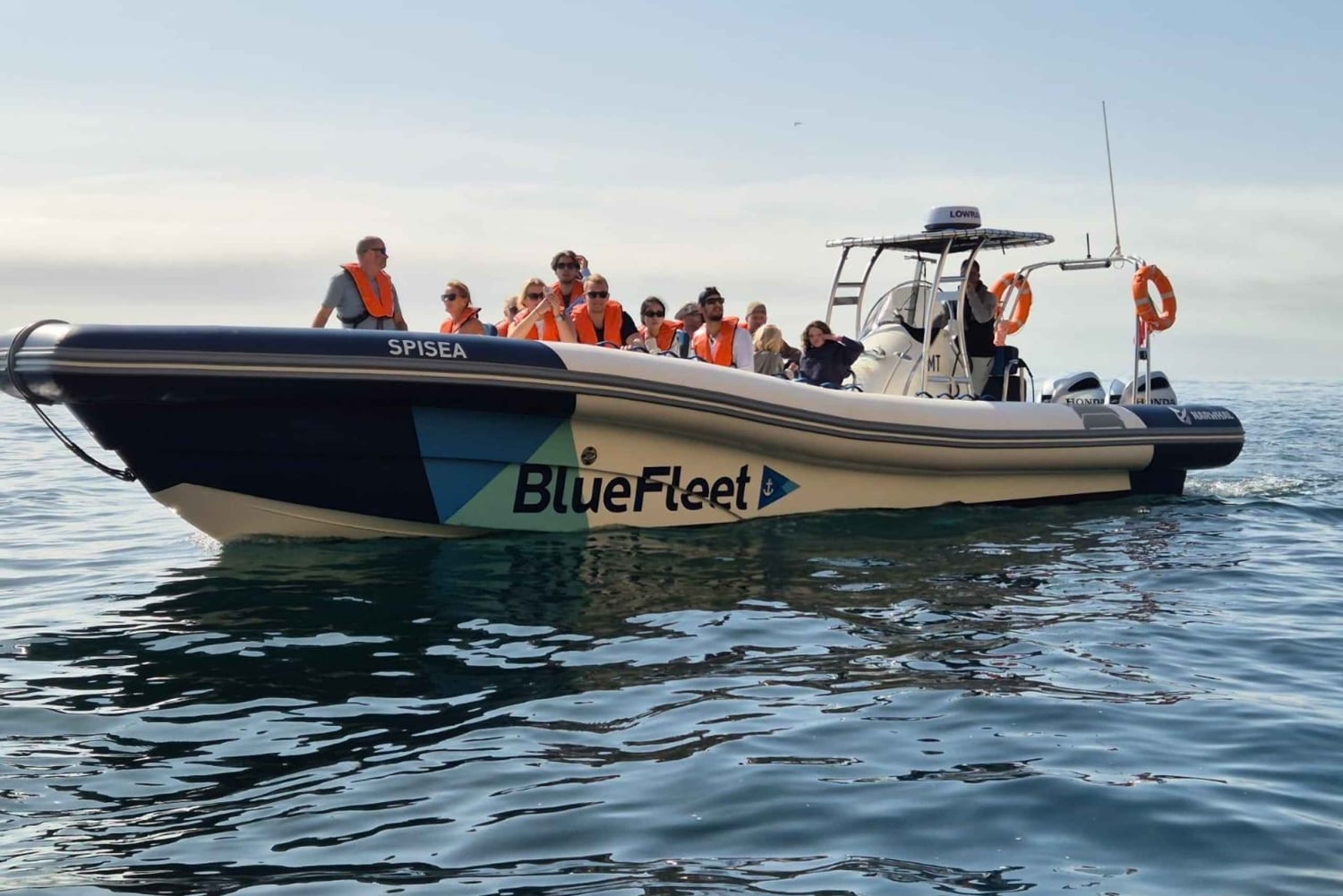 Combo: Benagil & Dolphins Boat Tour w/ Marine Biologists