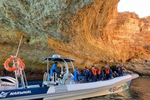 Combo: Benagil & Dolphins Boat Tour w/ Marine Biologists