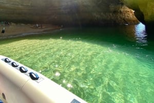 Combo: Benagil & Dolphins Boat Tour w/ Marine Biologists