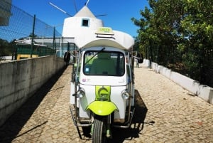 田舎のプライベートツアー