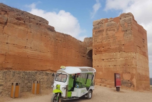 田舎のプライベートツアー