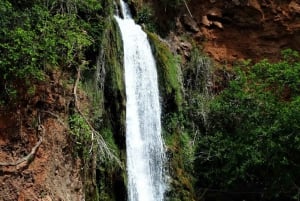 田舎のプライベートツアー