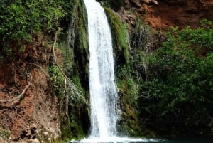 Tour particular pelo campo