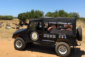 From Albufeira: Nature & Animals Jeep Tour with Krazy World