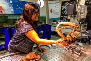 Cultural Faro 90-Minute Segway Tour