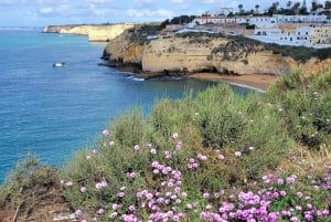 Day trip to Algarve, benagil cave and Portimão from Lisbon