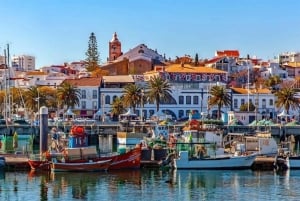 Discover Algarve Coast: Nature, History & Ocean Views