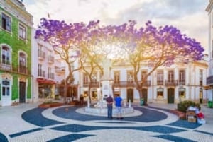 Discover Algarve Coast: Nature, History & Ocean Views