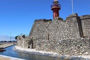 Discover Algarve Coast: Nature, History & Ocean Views