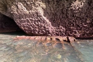 Discover Benagil Caves on a Guided paddle-boarding Tour