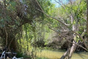 Découvrez Loule : visite guidée de 3 heures en motocyclette E Adventure