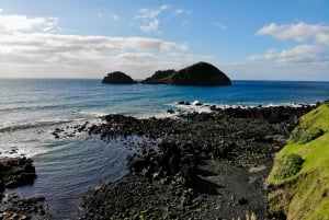 Descubre las joyas ocultas de São Miguel Tour privado de día completo