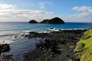 Entdecke die versteckten Juwelen von São Miguel Ganztagestour private Tour