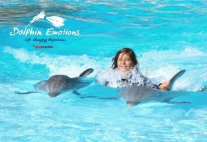 Dolphin Emotions