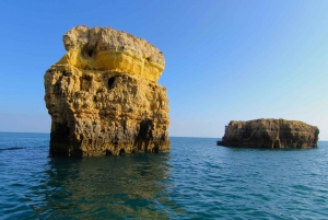 Dolphin Safari and Cave Tour in Vilamoura