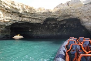 Delfinsafari og grottetur i Vilamoura