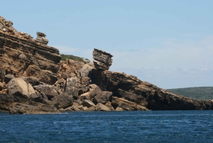 Delfinsafari og lokale grotter