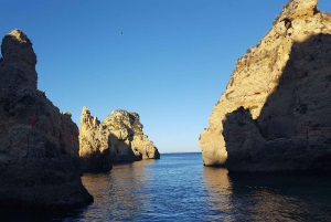 Delfinsafari og lokale grotter