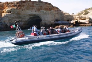 Observation des dauphins - Portimão