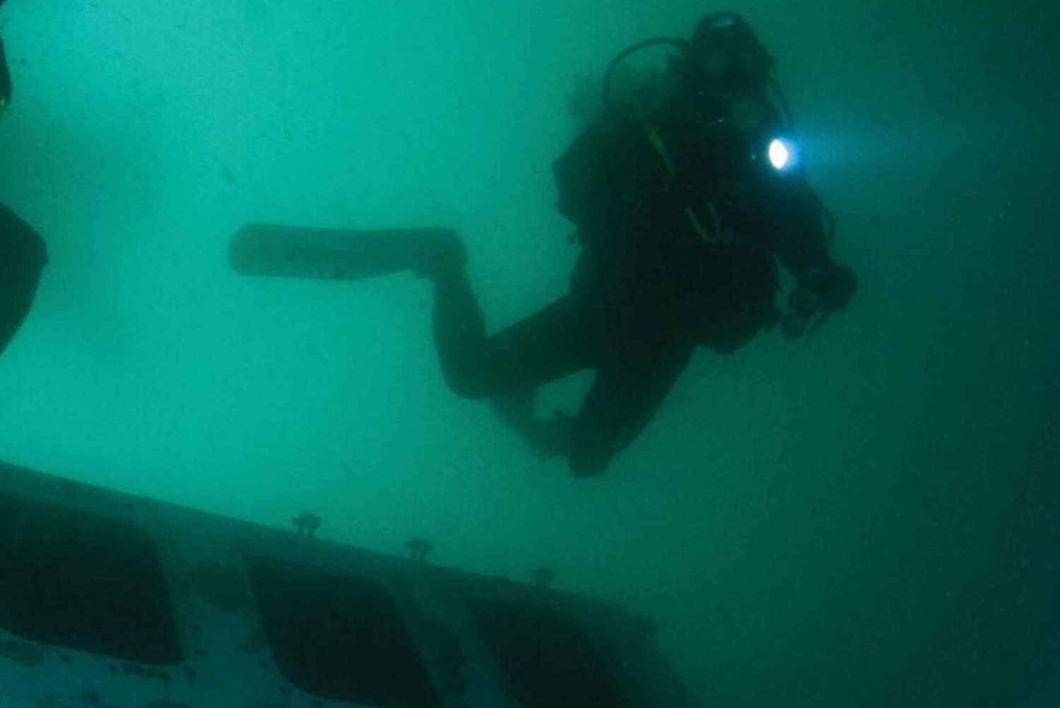 Doppelter Tauchgang im Ocean Revival Park