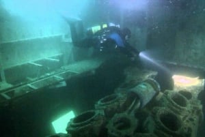 Double Dive at the Ocean Revival Park