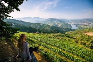 Porto: Douro Valley Wine Tour with a Sommelier & Boat Trip