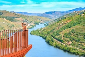 Porto: Douro Valley Wine Tour with a Sommelier & Boat Trip