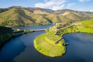 Porto: Douro Valley Wine Tour with a Sommelier & Boat Trip