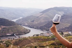 Porto: Douro Valley Wine Tour with a Sommelier & Boat Trip