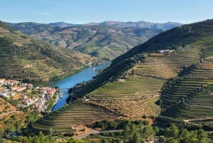 Porto: Douro Valley Wine Tour with a Sommelier & Boat Trip