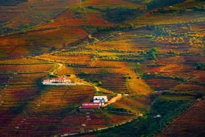 Porto: Douro Valley Wine Tour with a Sommelier & Boat Trip